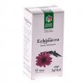 Tinctura de Echinacea 50ml